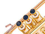 Trumpet LIGHT Trim kit. KGUmusic