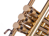 Trumpet CUSTOM Finger Buttons