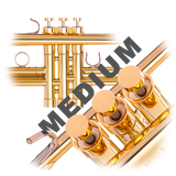 Trumpet MEDIUM Trim Kit KGUBrass