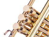 Trumpet MONSTRO EXTRA HEAVY Trim Kit. KGUmusic