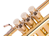 Trumpet RADIATOR EXTRA HEAVY Trim Kit. KGUmusic