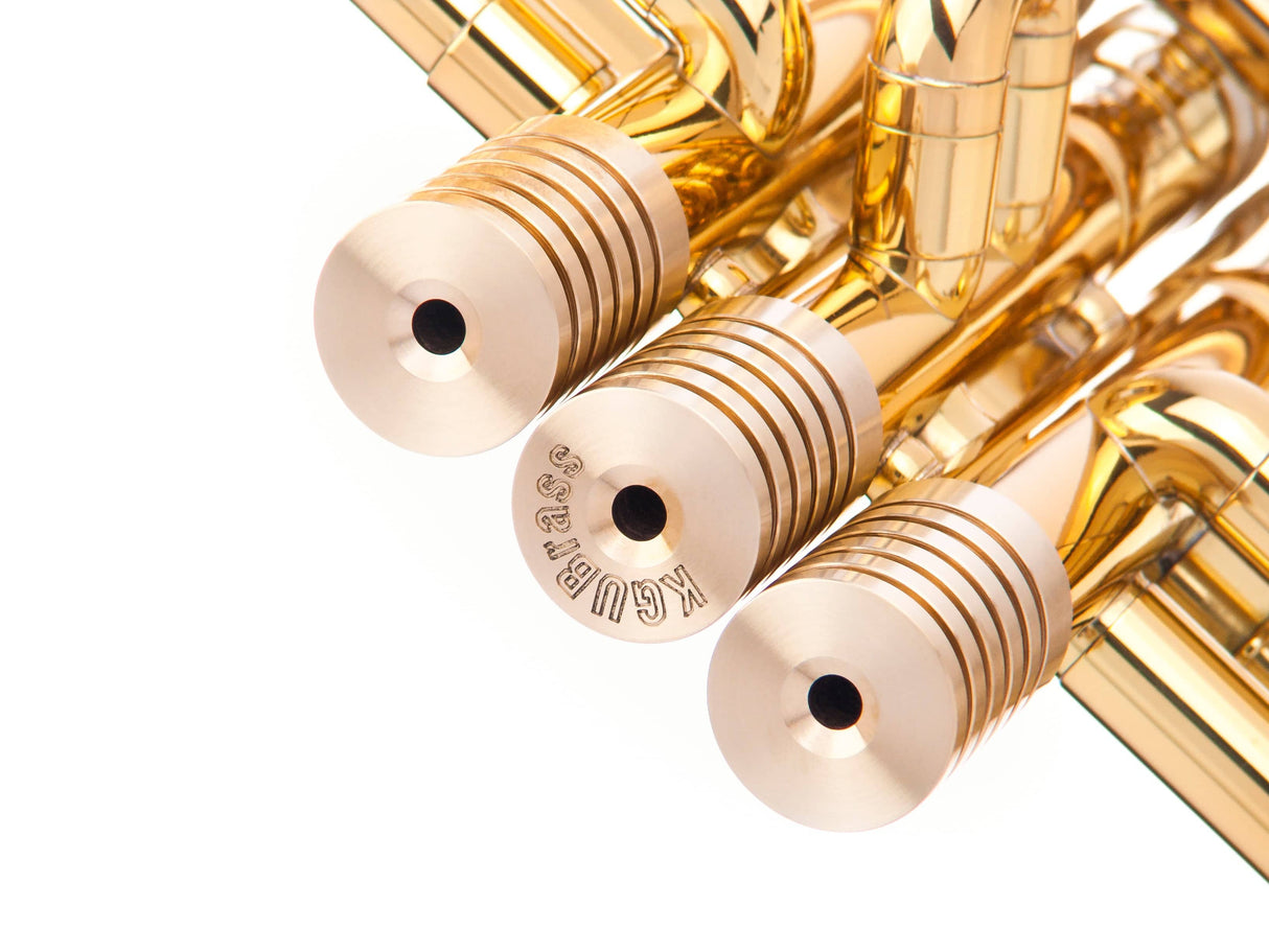 Trumpet RADIATOR EXTRA HEAVY Trim Kit. KGUmusic