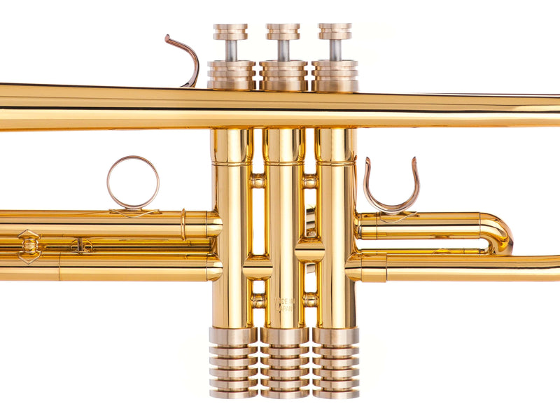 Trumpet RADIATOR EXTRA HEAVY Trim Kit. KGUmusic