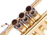 Trumpet MEDIUM Trim kit. KGUmusic