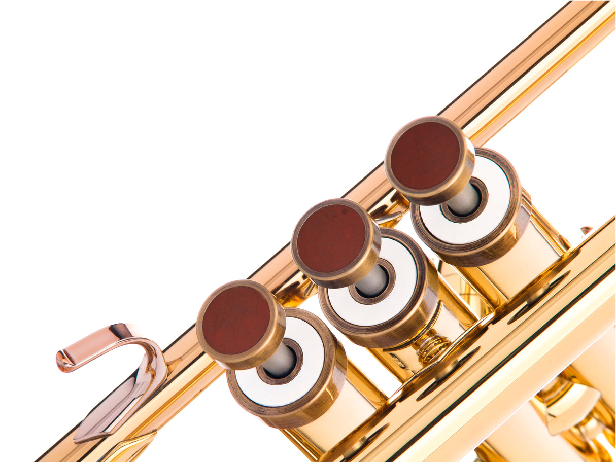 Trumpet LIGHT Trim kit. KGUmusic