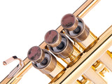 Trumpet MEDIUM Trim kit. KGUmusic