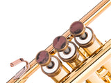 Trumpet LIGHT Trim kit. KGUmusic