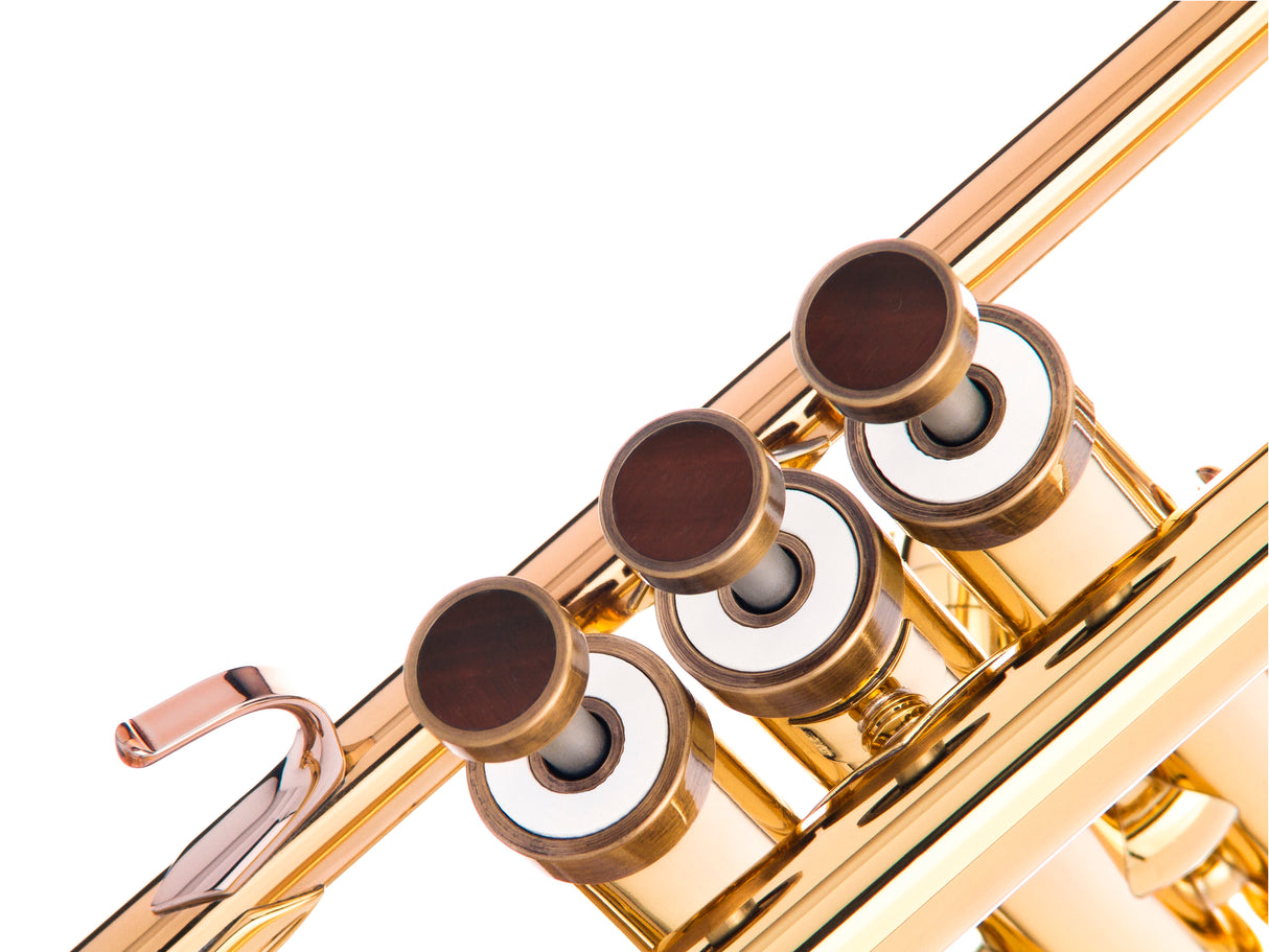 Trumpet LIGHT Trim kit. KGUmusic
