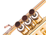 Trumpet LIGHT Trim kit. KGUmusic