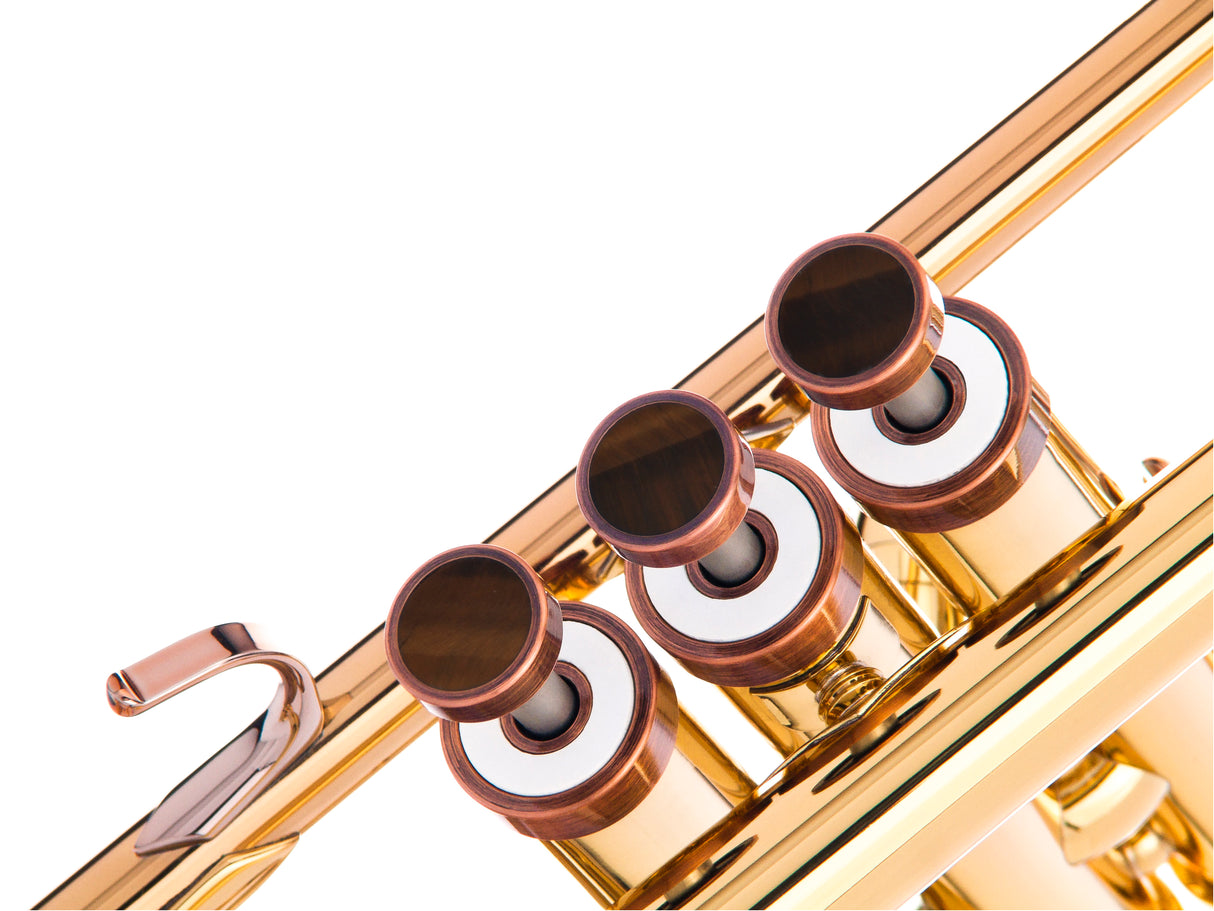 Trumpet LIGHT Trim kit. KGUmusic