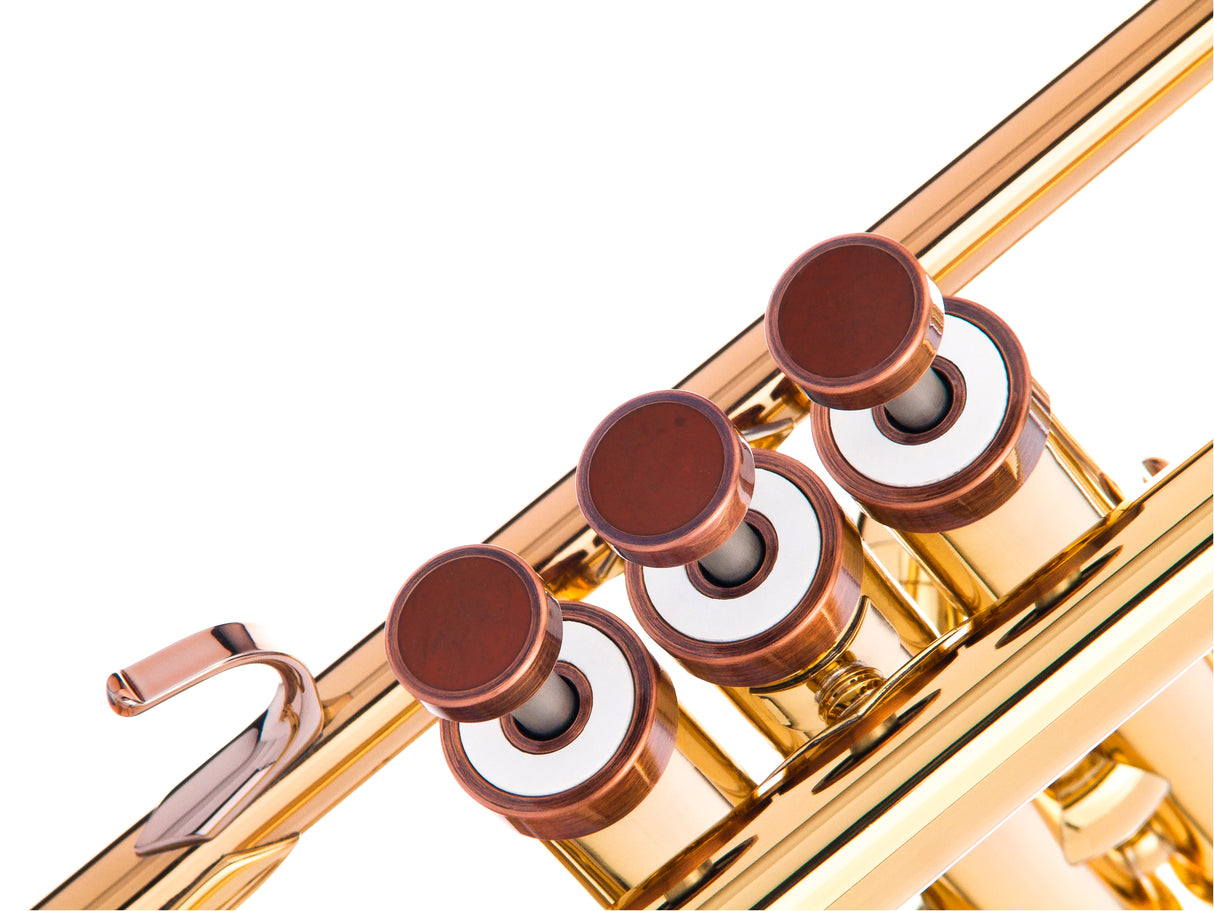 Trumpet LIGHT Trim kit. KGUmusic