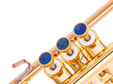 Trumpet LIGHT Trim kit. KGUmusic