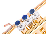 Trumpet LIGHT Trim kit. KGUmusic