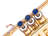 Trumpet LIGHT Trim kit. KGUmusic