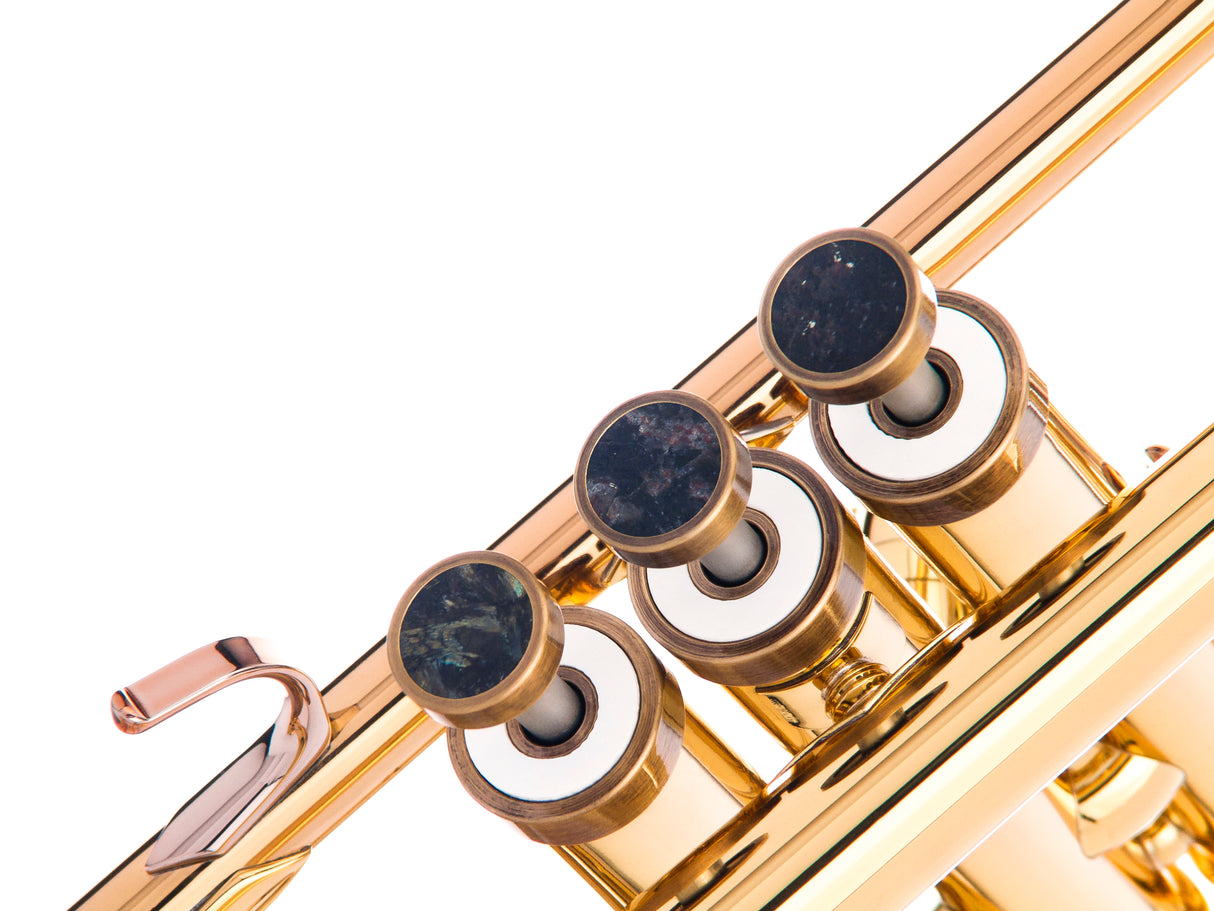 Trumpet LIGHT Trim kit. KGUmusic