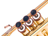 Trumpet LIGHT Trim kit. KGUmusic