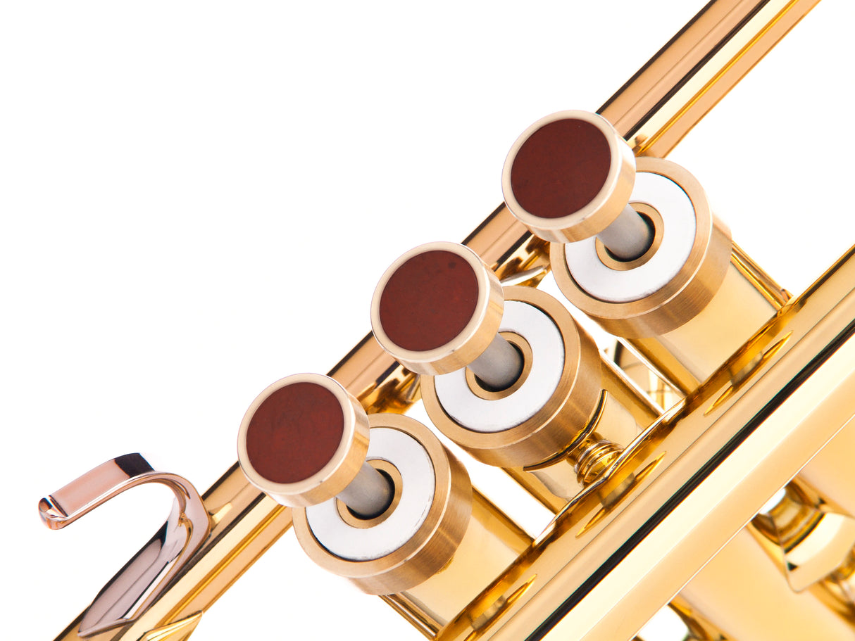 Trumpet LIGHT Trim kit. KGUmusic