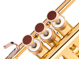 Trumpet LIGHT Trim kit. KGUmusic