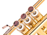 Trumpet LIGHT Trim kit. KGUmusic