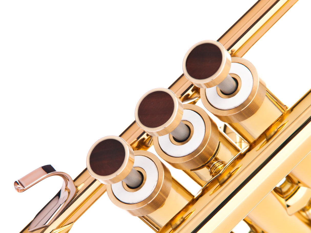 Trumpet LIGHT Trim kit. KGUmusic