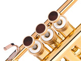 Trumpet LIGHT Trim kit. KGUmusic