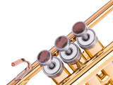 Trumpet LIGHT Trim kit. KGUmusic