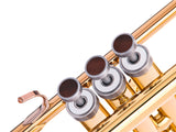 Trumpet LIGHT Trim kit. KGUmusic