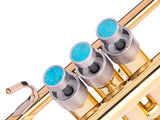 Trumpet MEDIUM Trim kit. KGUmusic
