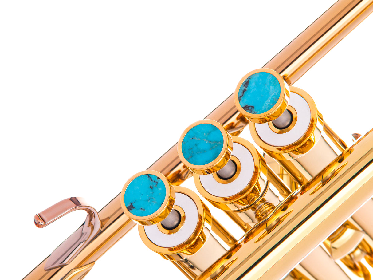 Trumpet LIGHT Trim kit. KGUmusic