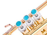 Trumpet LIGHT Trim kit. KGUmusic