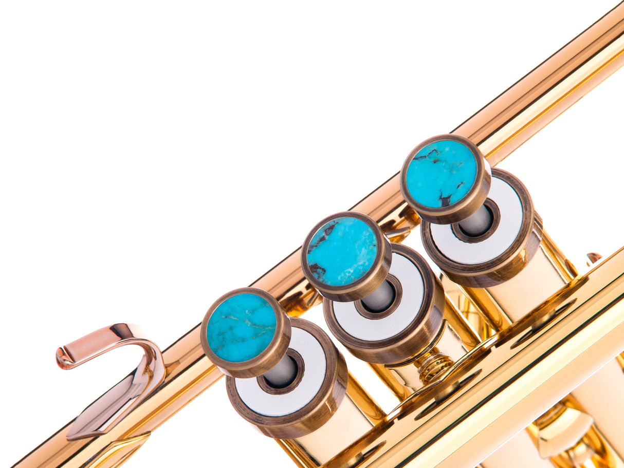 Trumpet LIGHT Trim kit. KGUmusic